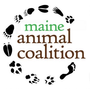 Maine Animal Coalition Logo